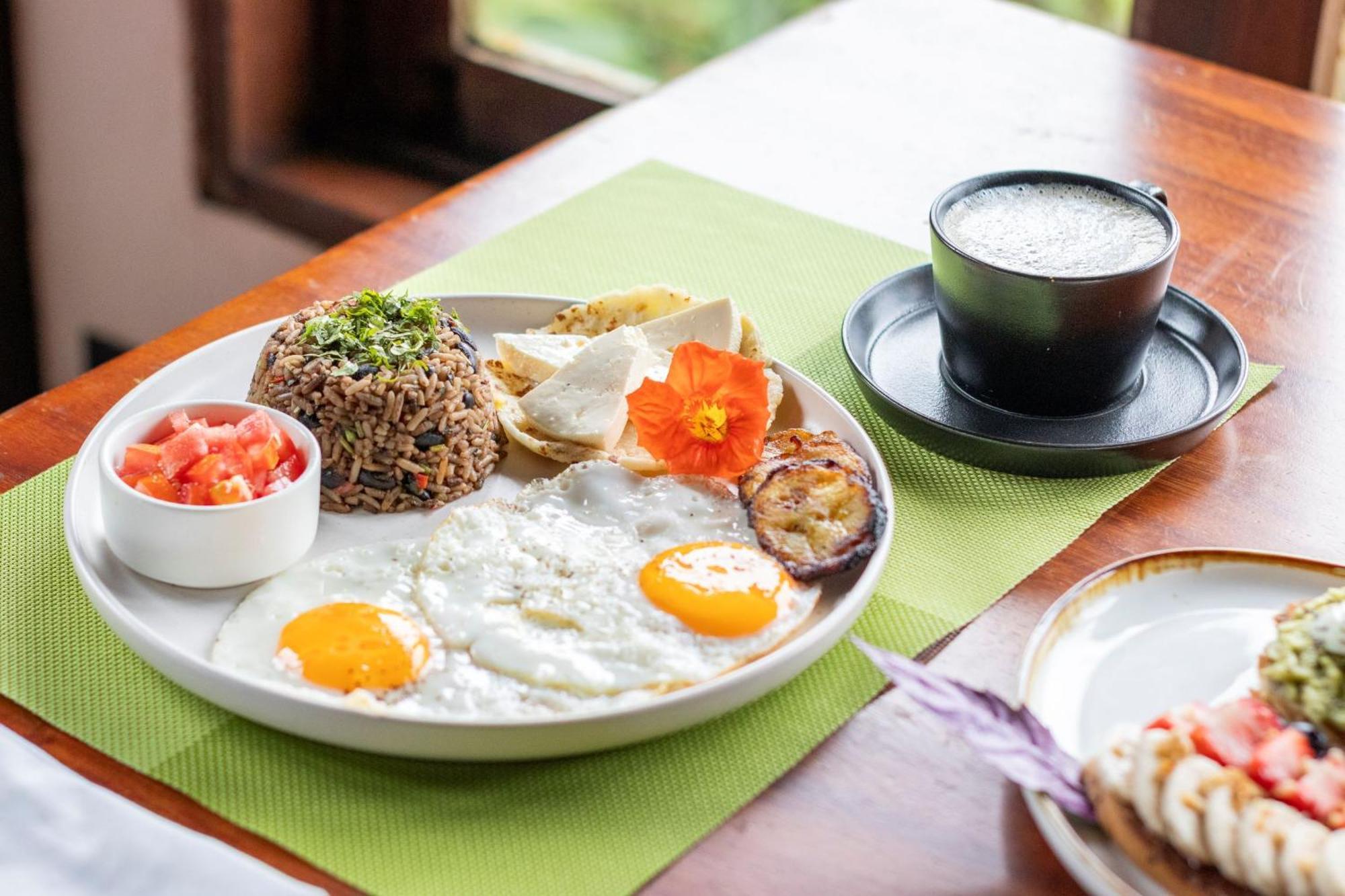 San Ramón Villa Blanca Cloud Forest Hotel & Retreat מראה חיצוני תמונה